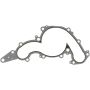 Victor Reinz 71-11981-00 Engine Water Pump Gasket