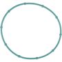 Victor Reinz 71-13781-00 Fuel Injection Throttle Body Mounting Gasket