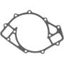 Victor Reinz 71-14661-00 Engine Water Pump Gasket