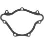 Victor Reinz 71-14667-00 Engine Water Pump Gasket
