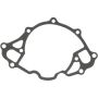 Victor Reinz 71-14668-00 Engine Water Pump Gasket