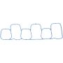 Victor Reinz 71-14770-00 Fuel Injection Plenum Gasket