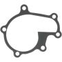 Victor Reinz 71-15166-00 Engine Water Pump Gasket
