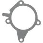 Victor Reinz 71-15591-00 Engine Water Pump Mounting Gasket