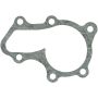 Victor Reinz 71-16003-00 Engine Water Pump Gasket
