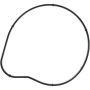Victor Reinz 71-17659-00 Engine Water Pump Gasket