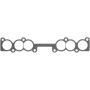 Victor Reinz 71-53563-00 Fuel Injection Plenum Gasket