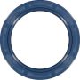 Victor Reinz 81-17085-00 Engine Crankshaft Seal