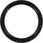 Victor Reinz 81-34819-00 Engine Crankshaft Seal