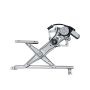 AISIN RPAF-007 Power Window Regulator Assembly w  Motor