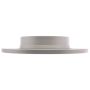 Raybestos 682429 Raybestos Specialty - Truck Coated Brake Rotor
