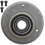 Raybestos 718502 Raybestos R-Line Axle Bearing & Hub Assy Repair Kit