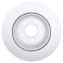 Raybestos 781049 Raybestos Specialty - Street Performance Brake Rotor