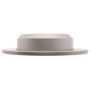 Raybestos 782485 Raybestos Specialty - Truck Coated Brake Rotor