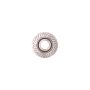 Raybestos 980242R Raybestos R-Line Brake Rotor
