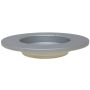Raybestos 980956 Raybestos Specialty - Truck Coated Brake Rotor