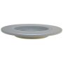 Raybestos 981020 Raybestos Specialty - Street Performance Coated Brake Rotor