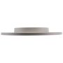 Raybestos 982513FZN Raybestos Element3 Coated Brake Rotor