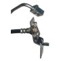 Raybestos BH381262 Raybestos Element3 Brake Hose