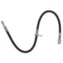 Raybestos BH381599 Raybestos Element3 Brake Hose