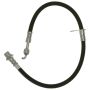 Raybestos BH381664 Raybestos Element3 Brake Hose