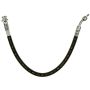 Raybestos BH382856 Raybestos Element3 Brake Hose