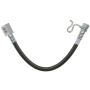 Raybestos BH382939 Raybestos Element3 Brake Hose