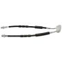 Raybestos BH383738 Raybestos Element3 Brake Hose