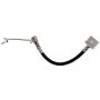 Raybestos BH384461 Raybestos Element3 Brake Hose