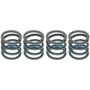Raybestos H1169K Raybestos R-Line Hold Down Spring
