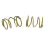 Raybestos H1336 Raybestos R-Line Parking Brake Strut Spring