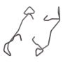 Raybestos H15884A Raybestos R-Line Disc Brake Hardware Kit