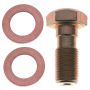 Raybestos H5387 Raybestos R-Line Banjo Bolt
