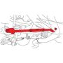 SPECIALTY PRODUCTS COMPANY 67666 SUBARU REAR LOWER ADJ ARM