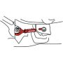 SPECIALTY PRODUCTS COMPANY 69450 REAR TOE LINKS-HONDA/ACURA (2)