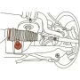 SPECIALTY PRODUCTS COMPANY 87365 FRONT CAMBER ADJUSTMENT CAM