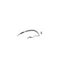 SUNSONG 3405086 Power Steering Pressure Line Hose Assembly