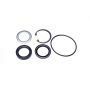 SUNSONG 8401096 Steering Gear Pitman Shaft Seal Kit