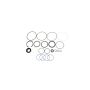 SUNSONG 8401151 Steering Gear Seal Kit