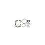 SUNSONG 8401271 Power Steering Pump Seal Kit