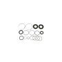 SUNSONG 8401297 Rack and Pinion Seal Kit