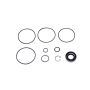 SUNSONG 8401320 Power Steering Pump Seal Kit
