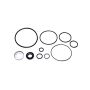 SUNSONG 8401425 Power Steering Pump Seal Kit