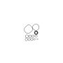 SUNSONG 8401449 Power Steering Pump Seal Kit