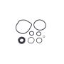 SUNSONG 8401473 Power Steering Pump Seal Kit