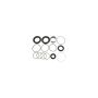 SUNSONG 8401475 Rack and Pinion Seal Kit