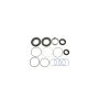 SUNSONG 8401595 Rack and Pinion Seal Kit