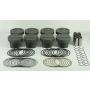 Mahle Motorsport 930204576 Piston Kit