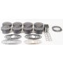 Mahle Motorsport 930244730 Piston Kit