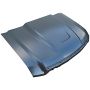 HOOD PANEL ASSY COWL INDUCTION; 2ND DESIGN FITS CREW/REGULAR/SUPER CAB FORD SUPER DUTY 08-10
